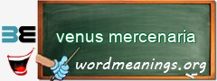 WordMeaning blackboard for venus mercenaria